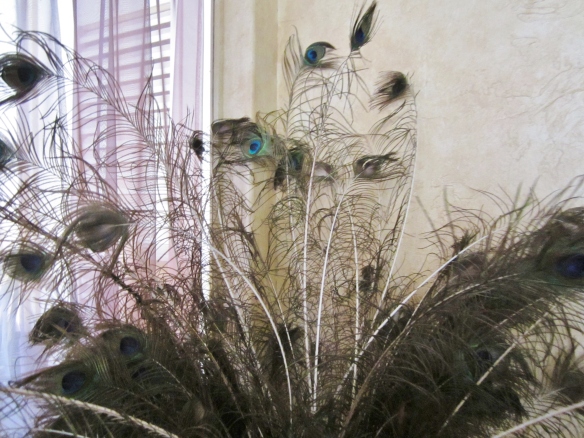 Peacock feathers used to dust off guests as they enter a room.